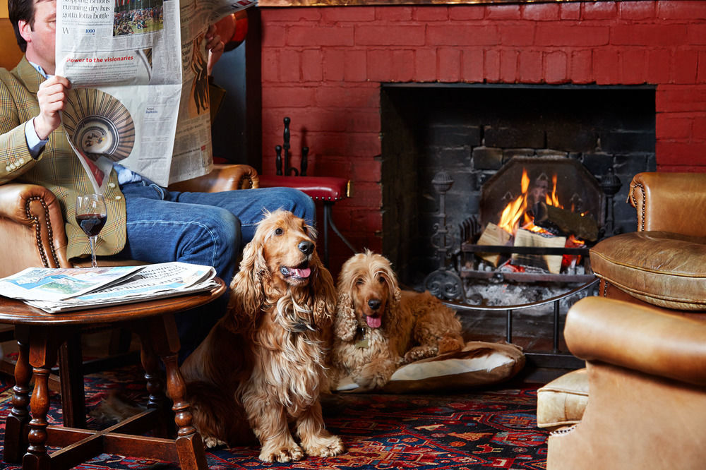 Spread Eagle Hotel And Spa Midhurst Extérieur photo